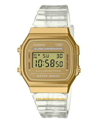 CASIO A168XESG-9A